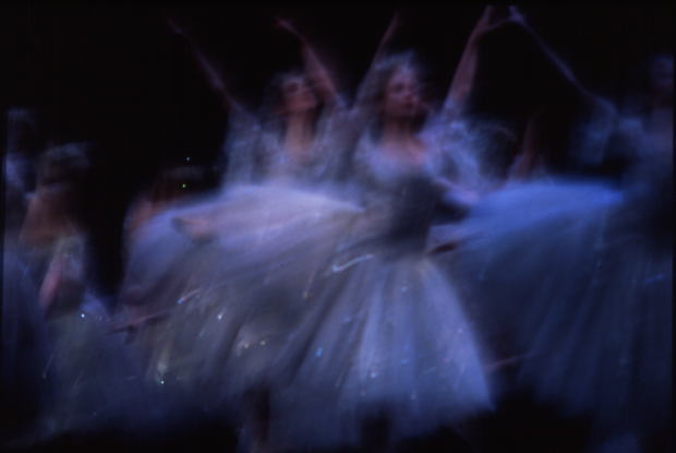 John Fenton - Nutcracker