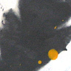 Roswitha Doerig